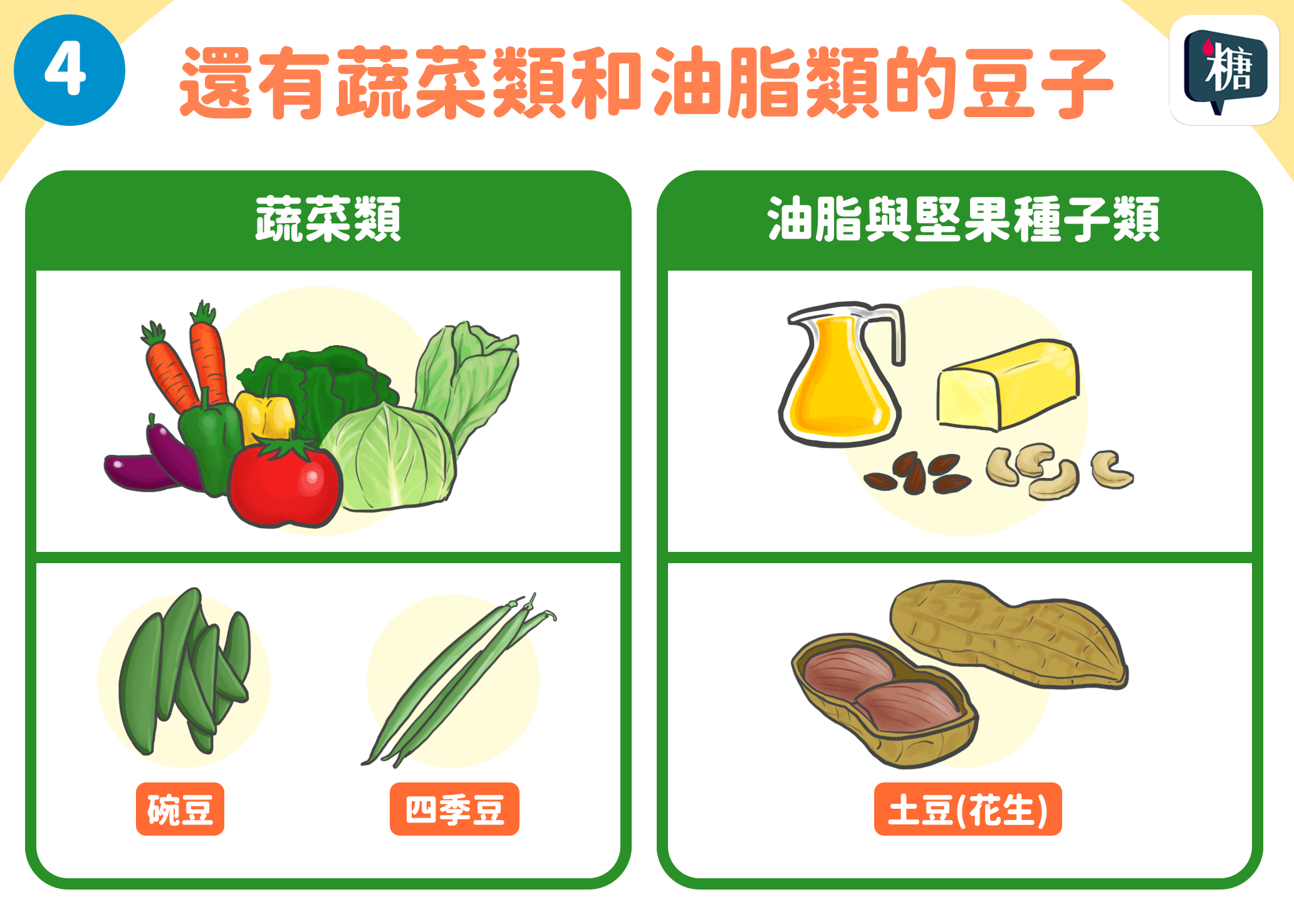 蔬菜類、油脂與堅果種子類的豆子有哪些？